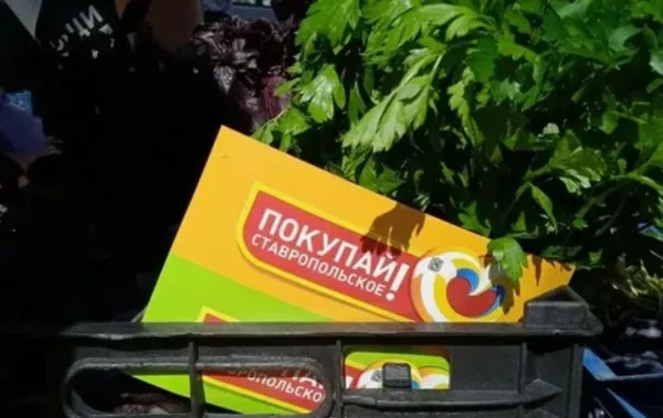 На Ставрополье провели около 27,5 тысячи ярмарок с начала года