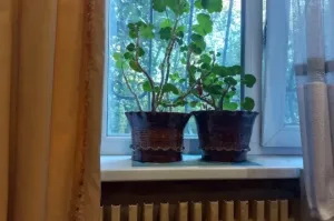 Отопительный сезон в домах Ставрополя стартует 20 октября