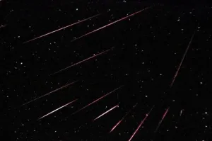 Астроном рассказал, когда и где смотреть метеорный поток Ориониды